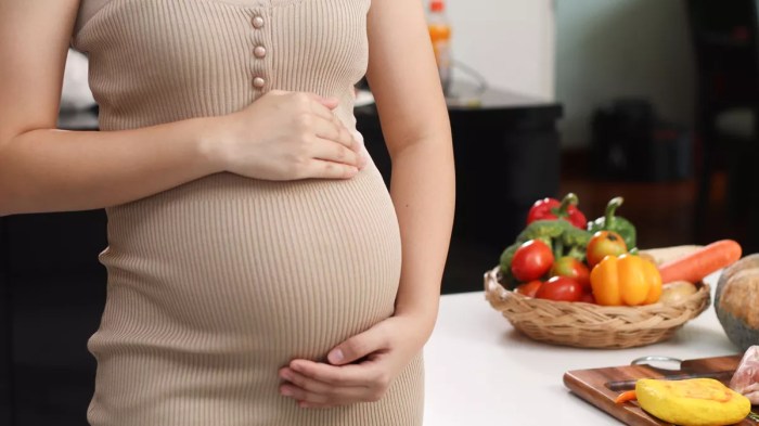 Kehamilan Sehat dengan Nutrisi Tepat
