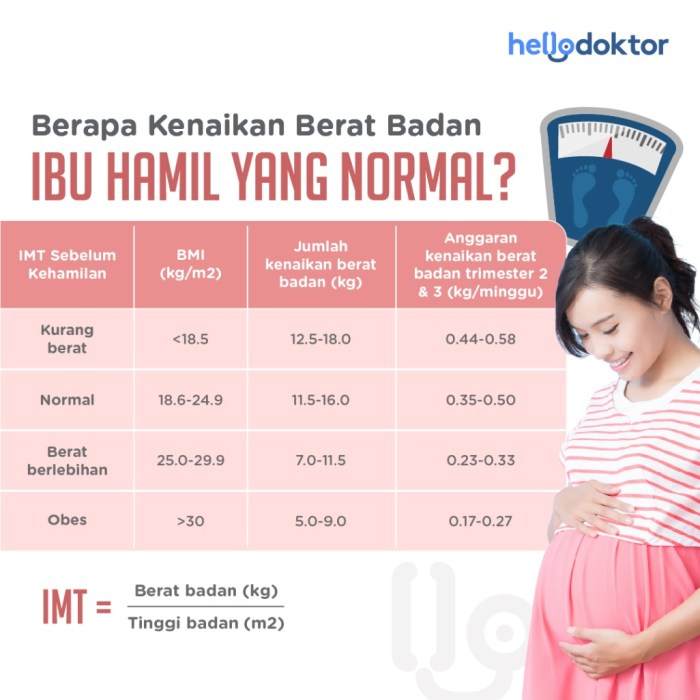 Kolagen Modifikasi Bantu Turunkan Berat Badan: Studi Ungkap Potensi Baru Atasi Obesitas