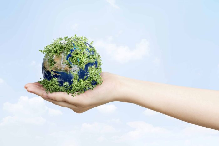 Gaya Hidup Sustainable yang Mulai Diterapkan Anak Muda