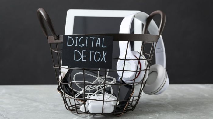 Digital Detox Jadi Solusi Baru Hidup Lebih Tenang