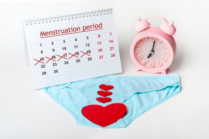 Mengenal Siklus Haid yang Normal