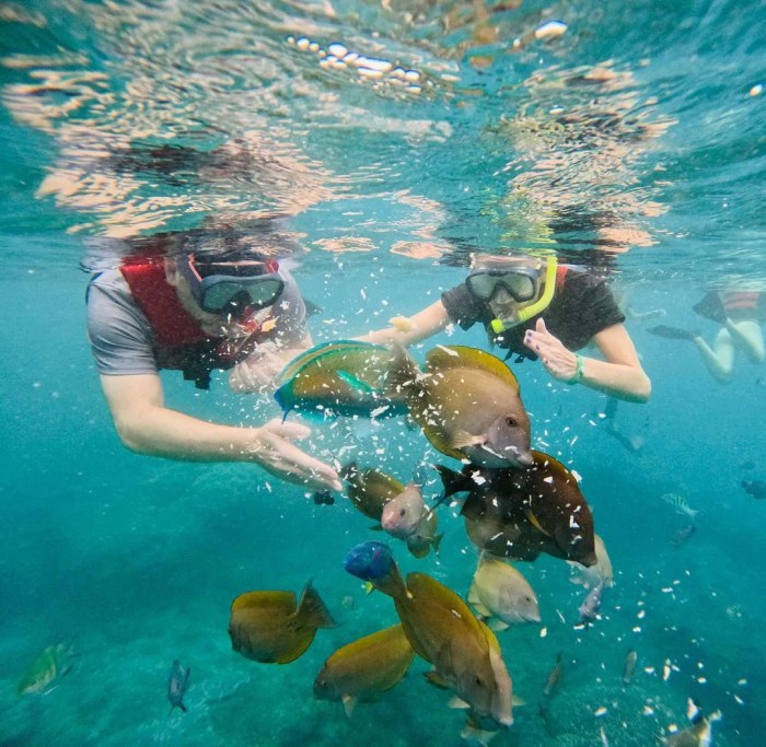 10 Spot Diving dan Snorkeling Terbaik di Bali - Nibble Snorkeling dan Diving Spot Favorit Wisatawan