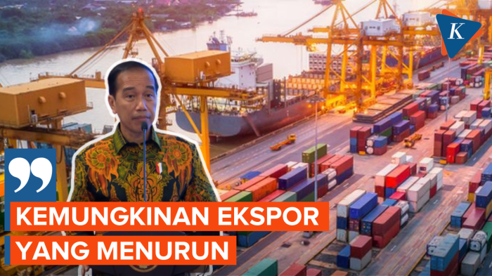 Kebijakan Ekspor-Impor AS Bisa Jadi Peluang Baru Bagi Indonesia