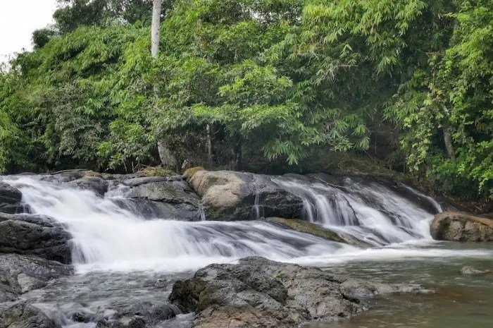 10 Wisata Alam di Kalimantan Selatan yang Menawarkan Petualangan Seru ... Wisata Alam di Kalimantan untuk Petualang Sejati