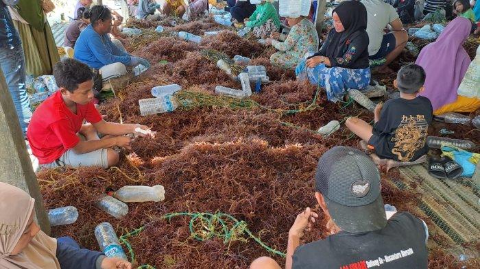 BPS Catat Penurunan Kemiskinan, Pemerintah Dapat Apresiasi